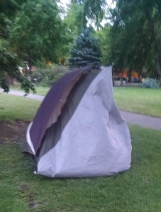 Could have used a few more stakes to secure the tent